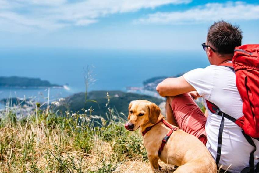 A guide to an unforgettable holiday with a dog on the Island of Krk