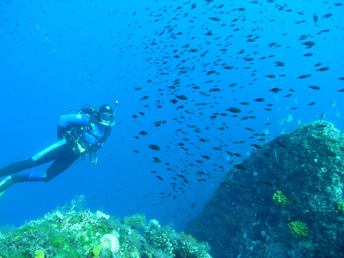 Diving and seabed exploration around the island of Krk is one if the things to do on Krk
