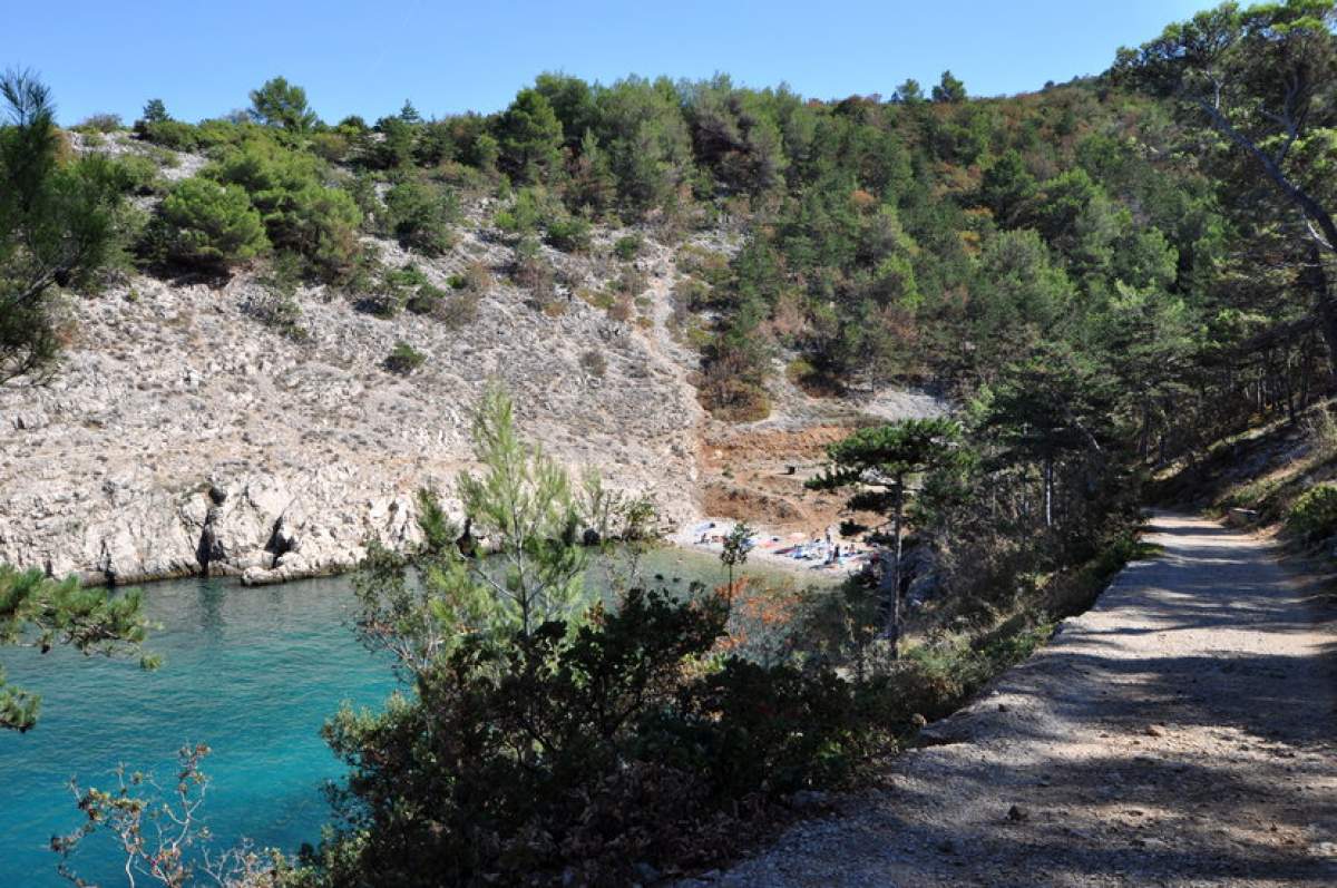 Strand Kozica im Pininewald in Vrbnik