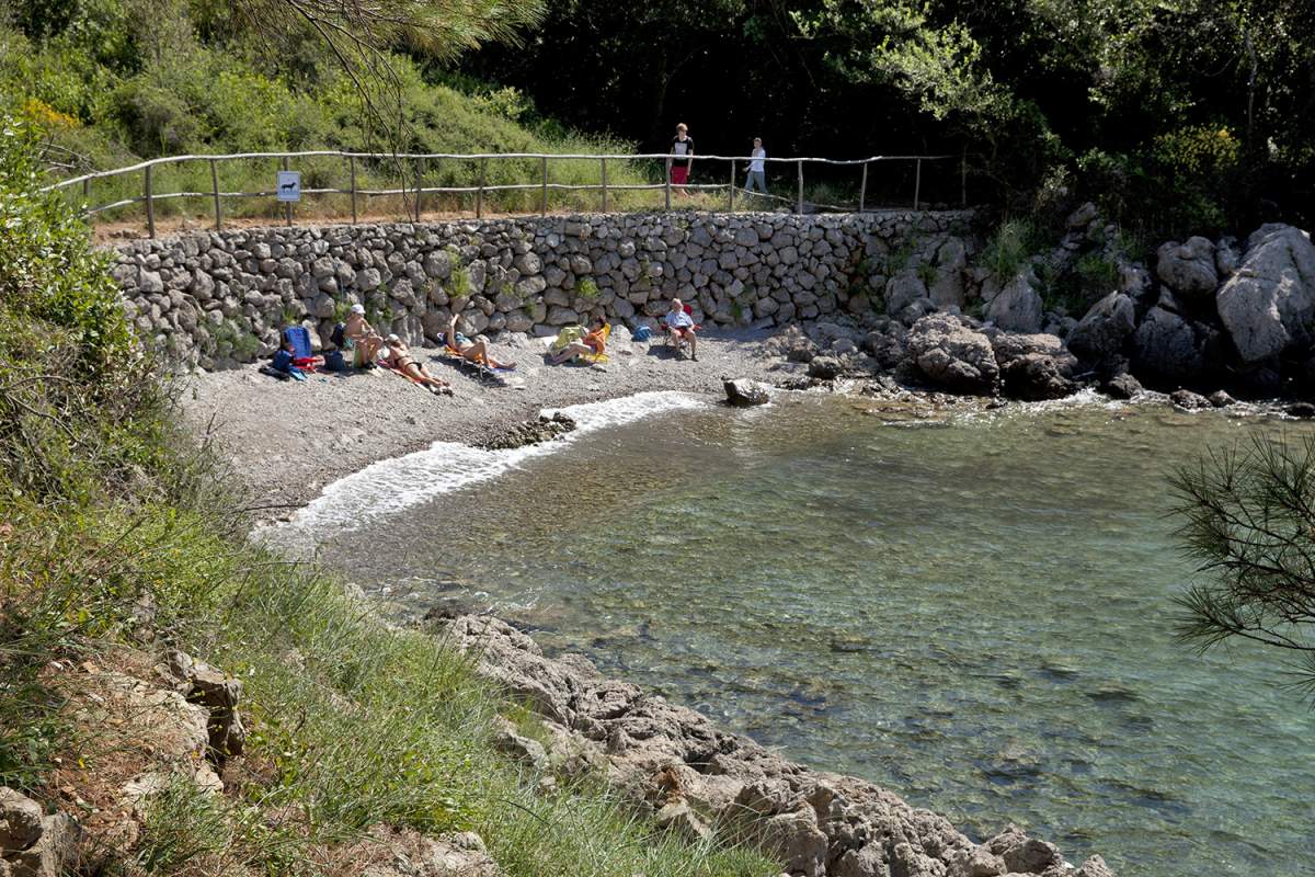 La spiaggia Redagara per i cani