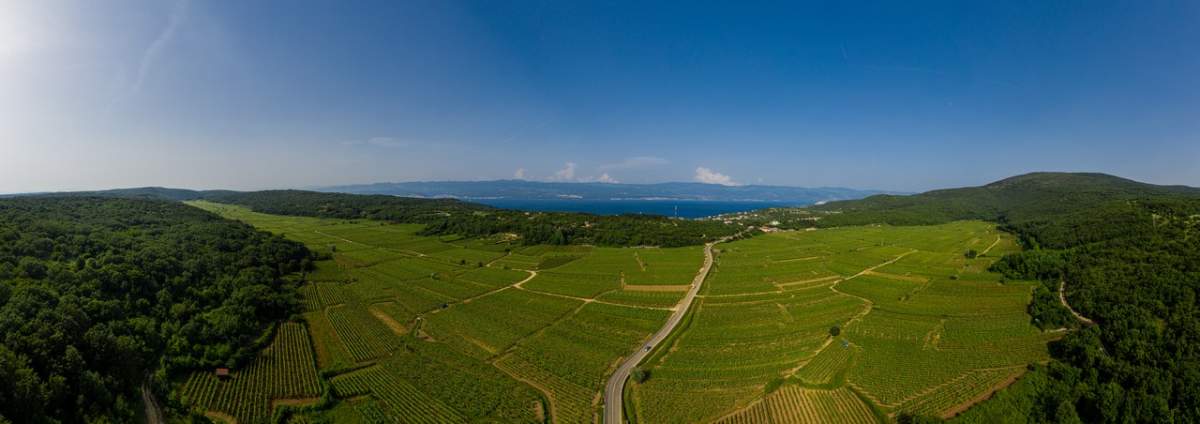 Das Feld von Vrbnik