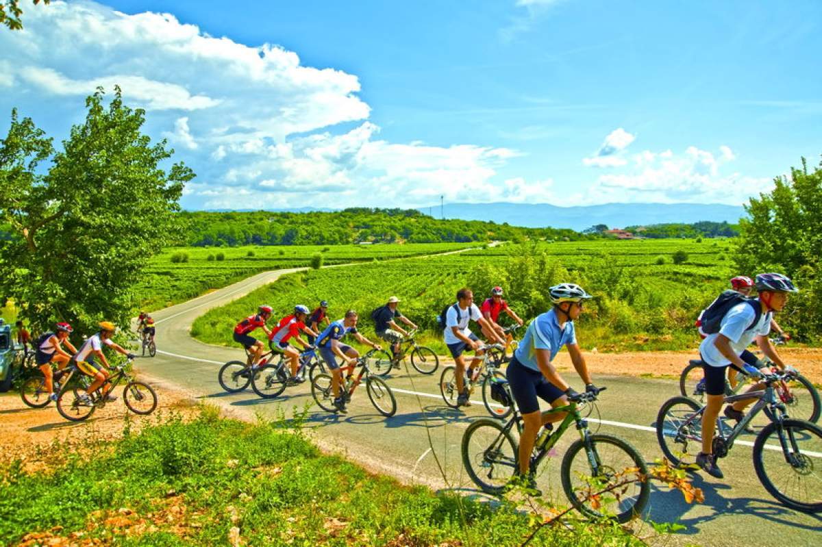 Cycle tourism on the island of Krk