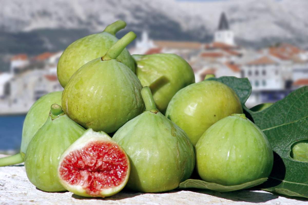 Krk Days of šurlice pasta, asparagus and figs