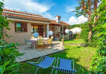 Garden - with a beautiful terrace, immersed in greenery