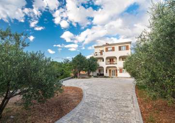 Primorka 2 - modern, bright apartment surrounded by olive trees