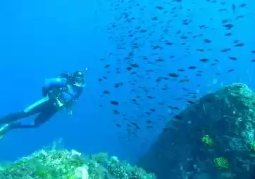 Schnuppertauchen - 2 Tauchgänge vom Schiff