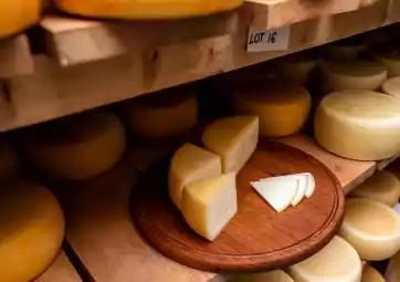 Visita del caseificio di famiglia e degustazione di formaggio pecorino di Krk