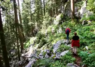 Nacionalni park Risnjak - ulaznica