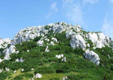 Besichtigung des Nationalparks Risnjak mit lokalem Reiseleiter