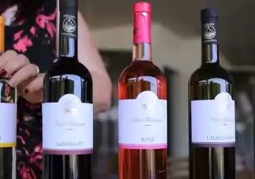 Degustazione di vini locali di Krk