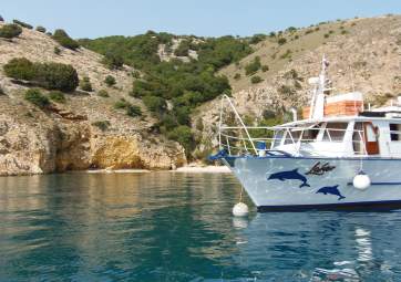 Plavnik Island discovery boat tour with lunch