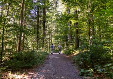 A private guided hiking tour to the peaks Veliki Risnjak & Snježnik