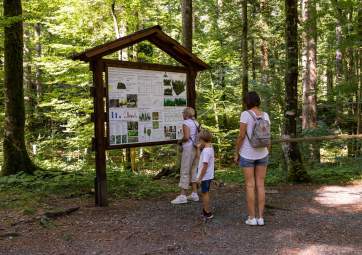 Risnjak - Leska trail accompanied by an expert guide