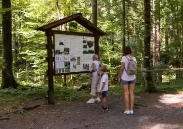 Risnjak - Leska trail accompanied by an expert guide