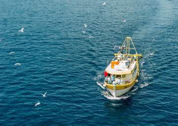 Pesca notturna con cena a bordo con pescato proprio