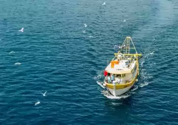 Night fishing with dinner on board from your own catch