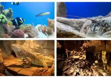 Get to know Krk underground and underwater world- ticket package