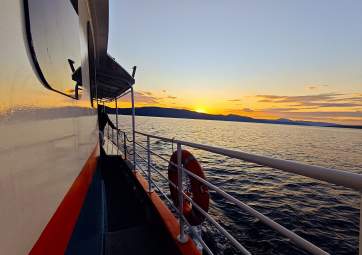 Sunset-Meerestour: Ein unvergesslicher Abend auf dem Meer